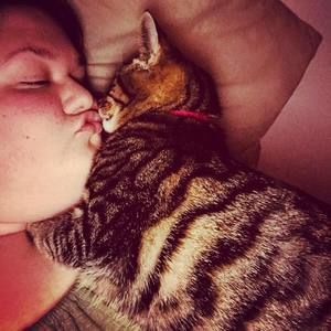 Meet your Posher, Chanel